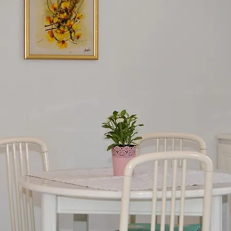 Basic 1 Apartment Split